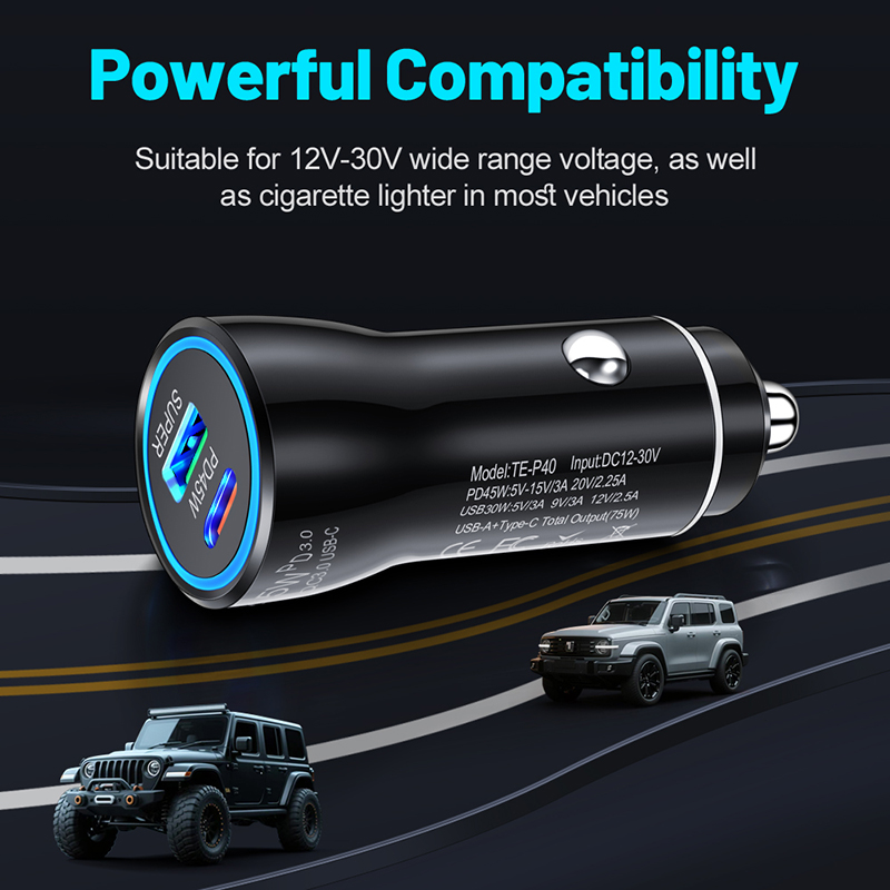 Dual Port 45W USB C Car Charge - Usb C Hub 评论和价格