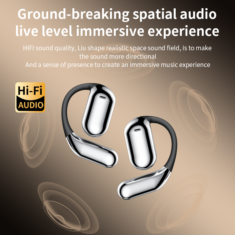 YYK Q16 Pro AI Translation Ear - Type C Adapter 评论和价格